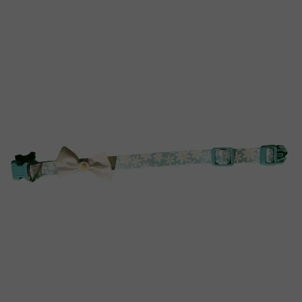 Light Teal dog collar with daisy bow - size medium